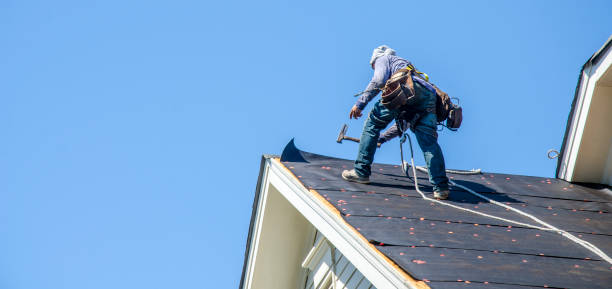 Roof Gutter Cleaning in Roaring Spring, PA